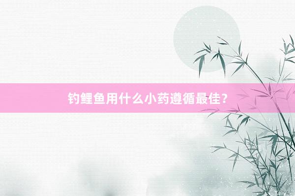 钓鲤鱼用什么小药遵循最佳？